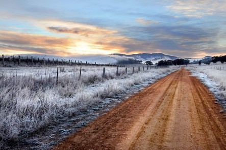 A photo of morning frost at Spring Flat, Mudgee. Photo by Amber Hooper