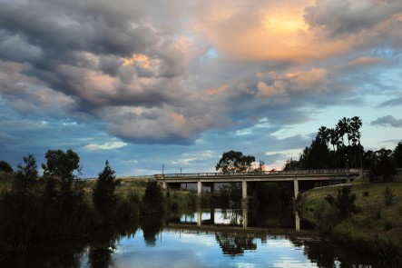 A photo of Holyoak Bridgee, Mudgee. Photo by Amber Hooper.