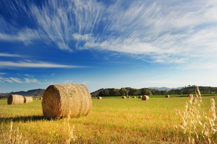 A photo of hay bales, Mudgee. Photo by Amber Hooper.