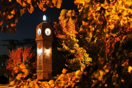 A photo of the Mudgee Town Clock in Autumn. Photo by Amber Hooper.