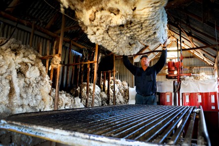 The Shearing Shed.